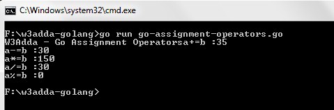 go-assignment-operators