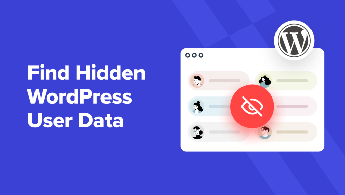 Tips to Find Hidden WordPress User Data to Grow Your Business Tips to Find Hidden WordPress User Data to Grow Your Business